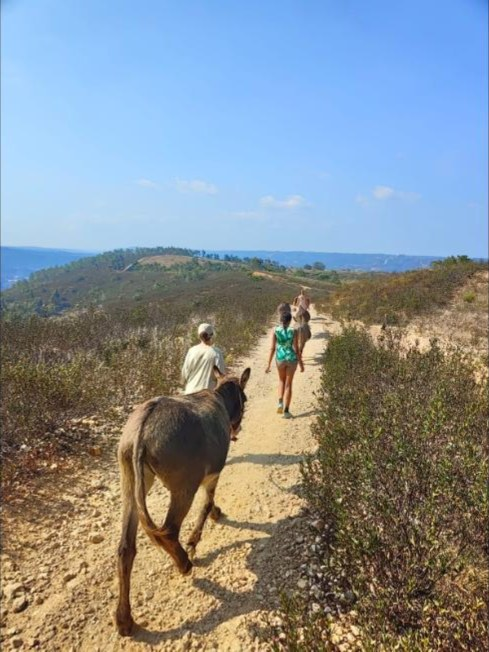 Caminhada com burro num trilho da Costa Vicentina