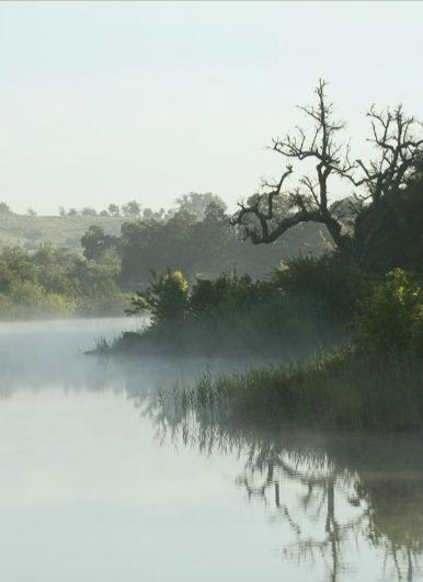 Nevoeiro sobre o lago ao amanhecer