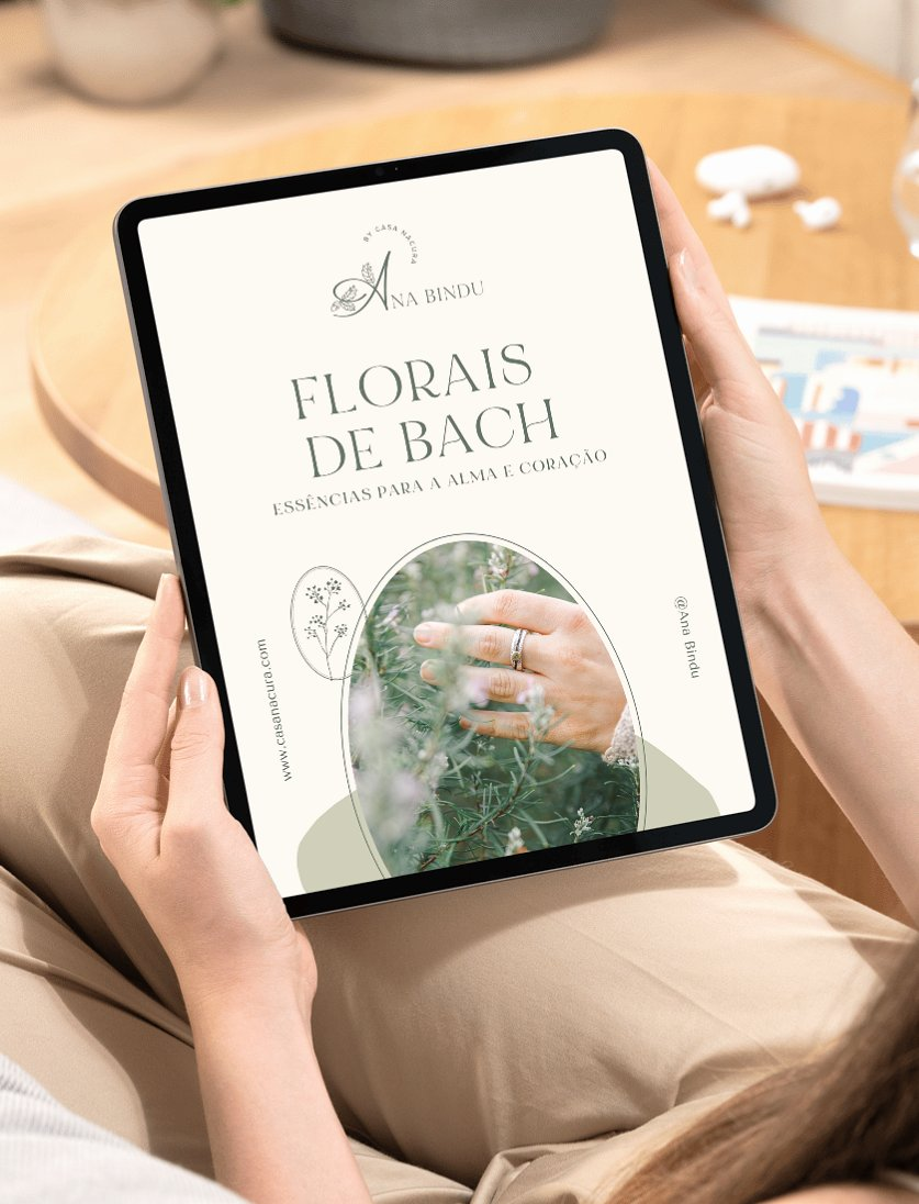 Capa de e-book criada pela Ana Abreu